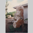 Landscape boulders in Saint Martin (ddr-densho-377-43)