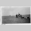 Japanese Americans plowing a field (ddr-densho-37-704)