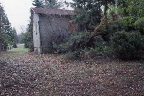 Small house (Fujitaro's) on lower part of property, fence along north property line to left (ddr-densho-354-1372)