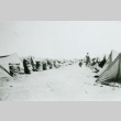 Rows of tents (ddr-densho-1007-498)