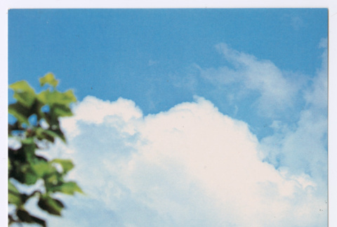 Blank Postcard of Matsuyama Castle (ddr-ohs-1-171)
