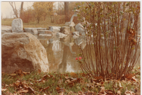 Pond with flower bloom (ddr-densho-377-2107)