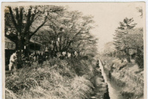 Photo of canal (ddr-densho-355-112)