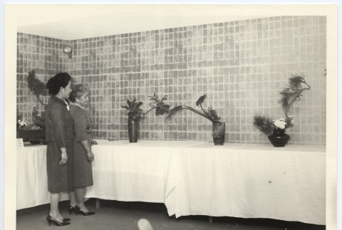 Ninth Annual Landscape Gardeners Convention Bonsai exhibit (ddr-jamsj-1-464)