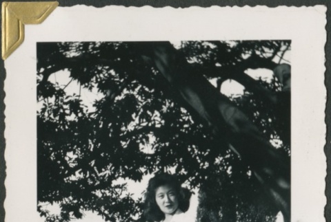 Woman standing under a tree (ddr-densho-321-197)