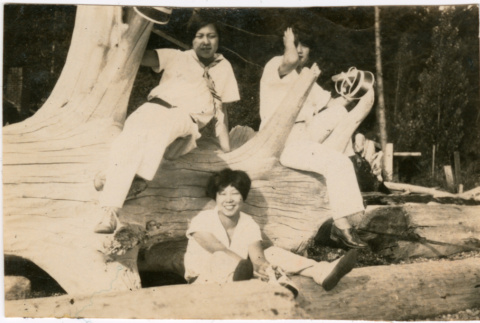 Three women sitting on log (ddr-densho-523-37)