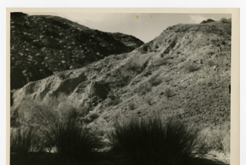 Poston mountains with dried sage plants (ddr-csujad-35-32)
