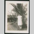 girl next to palm tree (ddr-densho-378-424)