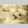 Soldier laying in a field (ddr-densho-22-225)