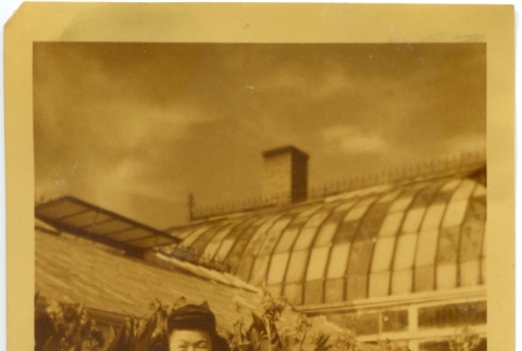 Woman sitting in front of a greenhouse (ddr-manz-6-103)