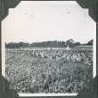Field with rows of tents (ddr-ajah-2-174)