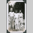 Photo of three boys (ddr-densho-483-1304)