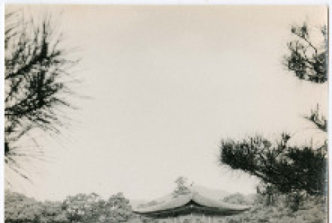 Photo, front and back (ddr-densho-426-1075-mezzanine-c41da28c7e)
