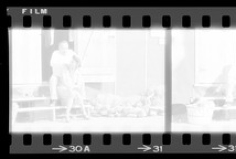 Negative film strip for Farewell to Manzanar scene stills (ddr-densho-317-246)