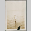 Man standing in water (ddr-densho-359-924)