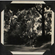 Tomoye (Nozawa) Takahashi walking along road (ddr-densho-423-549)