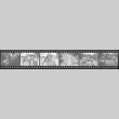 Negative film strip for Farewell to Manzanar scene stills (ddr-densho-317-231)