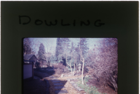 Japanese garden at the Dowling project (ddr-densho-377-406)