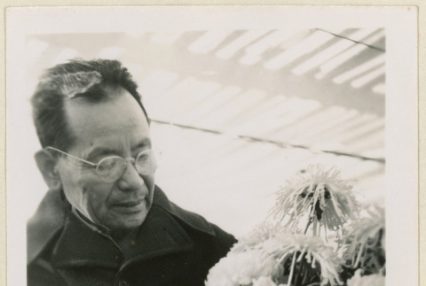 Mr. Nakata with his chrysanthemums (ddr-densho-37-1191)