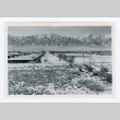 Manzanar and surroundings (ddr-densho-402-26)