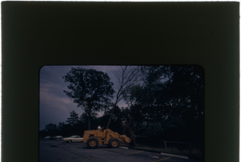 Moving a tree with a tractor (ddr-densho-377-1052)