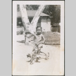 Boy with tricycle (ddr-densho-316-270)