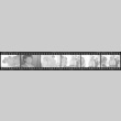 Negative film strip for Farewell to Manzanar scene stills (ddr-densho-317-224)