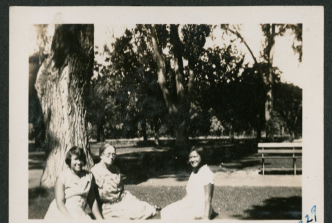 three women under a tree (ddr-densho-378-619)