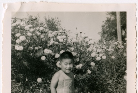 Japanese American child (ddr-densho-325-424)