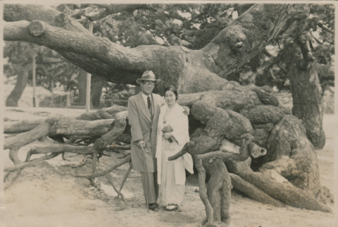 Terakawa Honeymoon (ddr-densho-357-461)