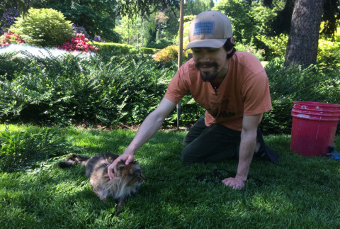 Tuesdays in the Garden, volunteer petting a cat (ddr-densho-354-2450)