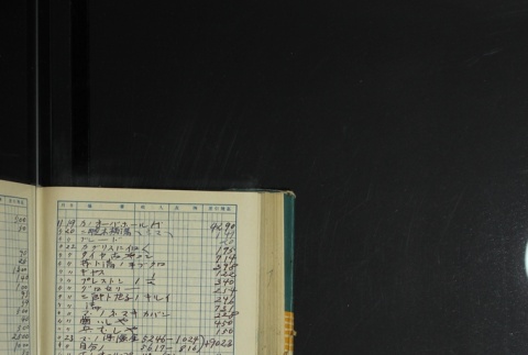 Page 410 (ddr-densho-255-17-master-5439979541)