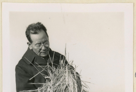 Mr. Nakata with a rice crop (ddr-densho-37-1197)