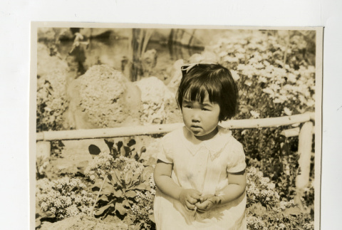 Joy Masako Ujita (ddr-csujad-38-240)