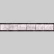 Negative film strip for Farewell to Manzanar scene stills (ddr-densho-317-95)