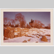 Snowy rocks (ddr-densho-377-1732)