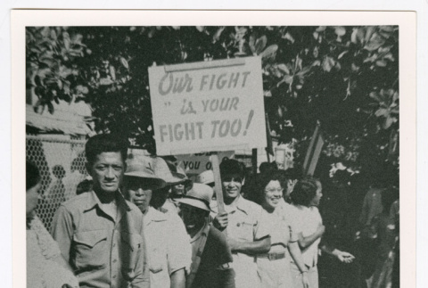 ILWU pineapple strike (ddr-densho-1007-324)
