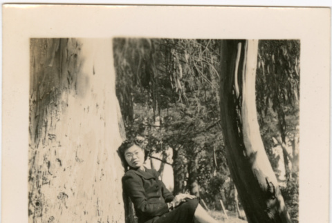 Tomoye (Nozawa) Takahashi sitting in a tree (ddr-densho-426-2099)