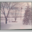 Yard in snow, color (ddr-densho-523-321)