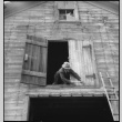 Closing barn on day of mass removal (ddr-densho-151-194)