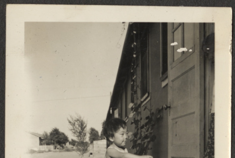 Child pointing (ddr-densho-433-1002)