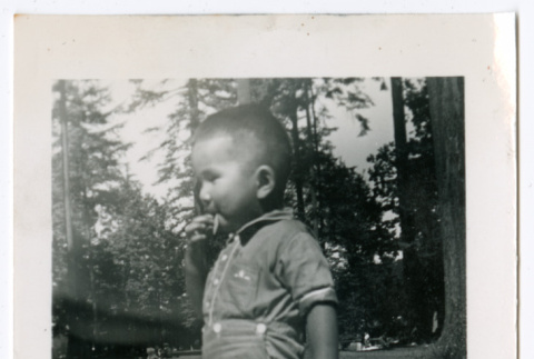 Photo of a child in woods (ddr-densho-483-735)
