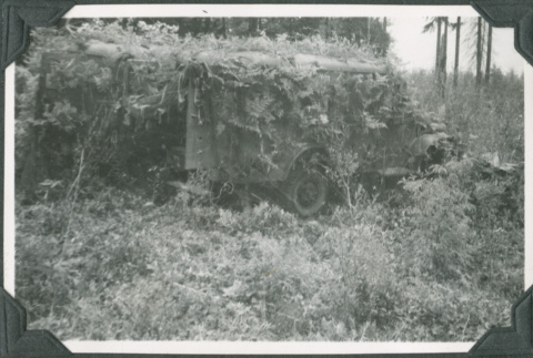 Camouflaged truck (ddr-ajah-2-106)