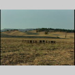 B-roll: farmland, line of chairs, tables (ddr-densho-1007-1744)