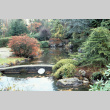 Japanese Garden pond, looking East (ddr-densho-354-2643)