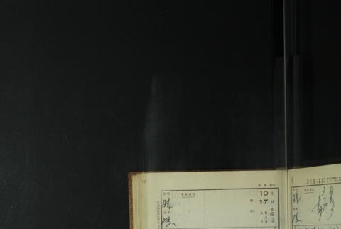 Page 313 (ddr-densho-255-11-master-70e58a65c7)