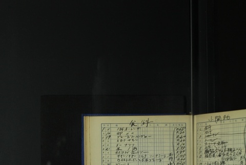 Page 399 (ddr-densho-255-6-master-fc92af67d6)