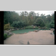 Pond with landscaping (ddr-densho-377-1812)