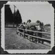 Pony rides (ddr-densho-300-430)