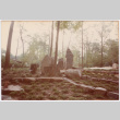 Completed landscaping (ddr-densho-377-2581)